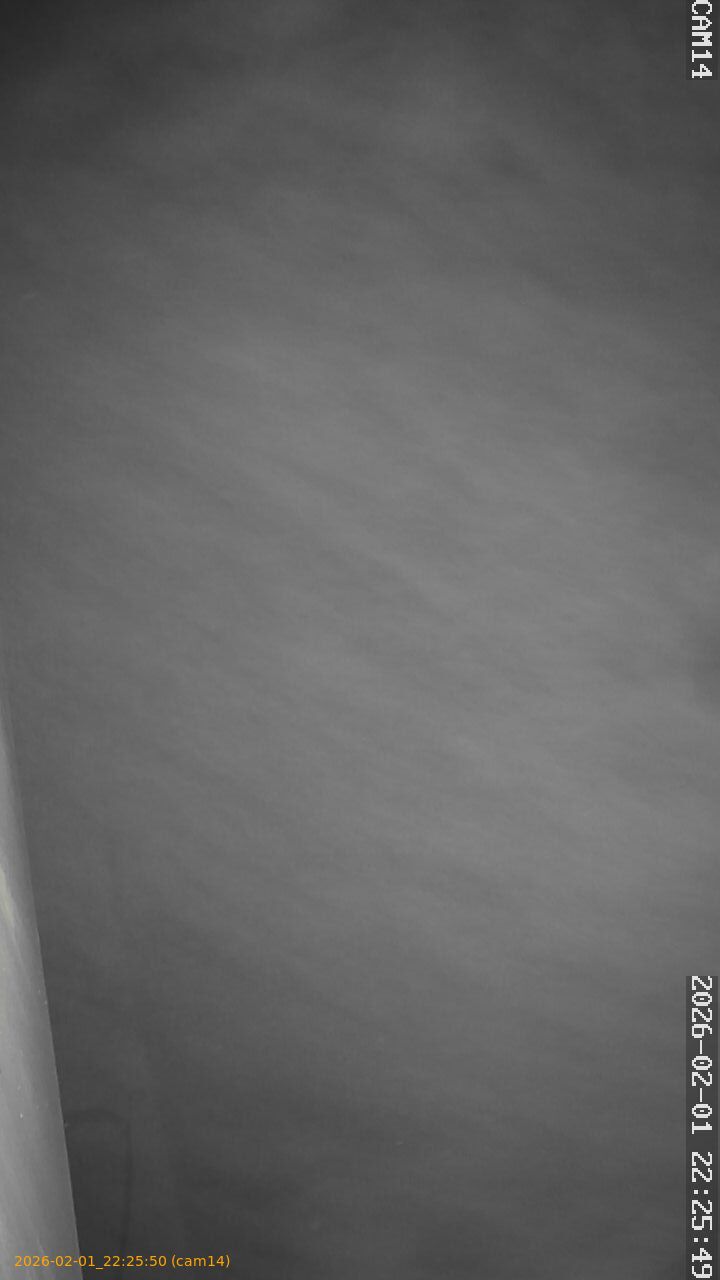 thumbnail_20260201222550