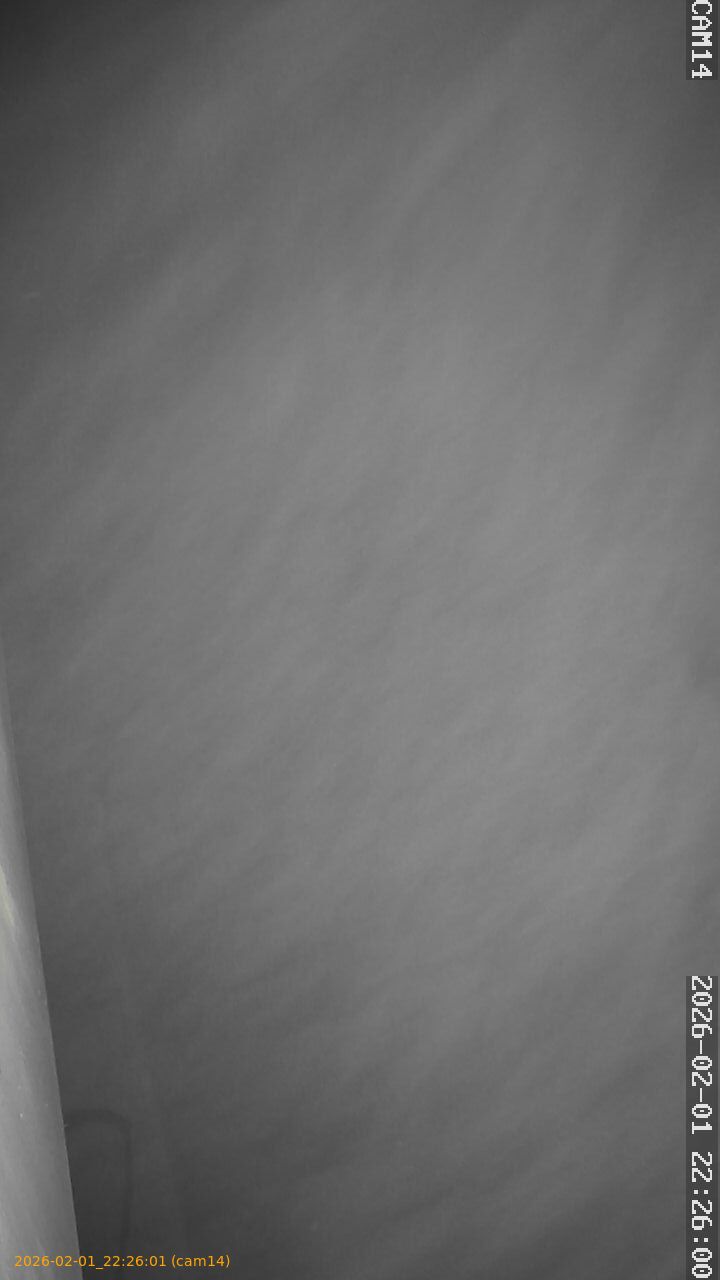 thumbnail_20260201222601