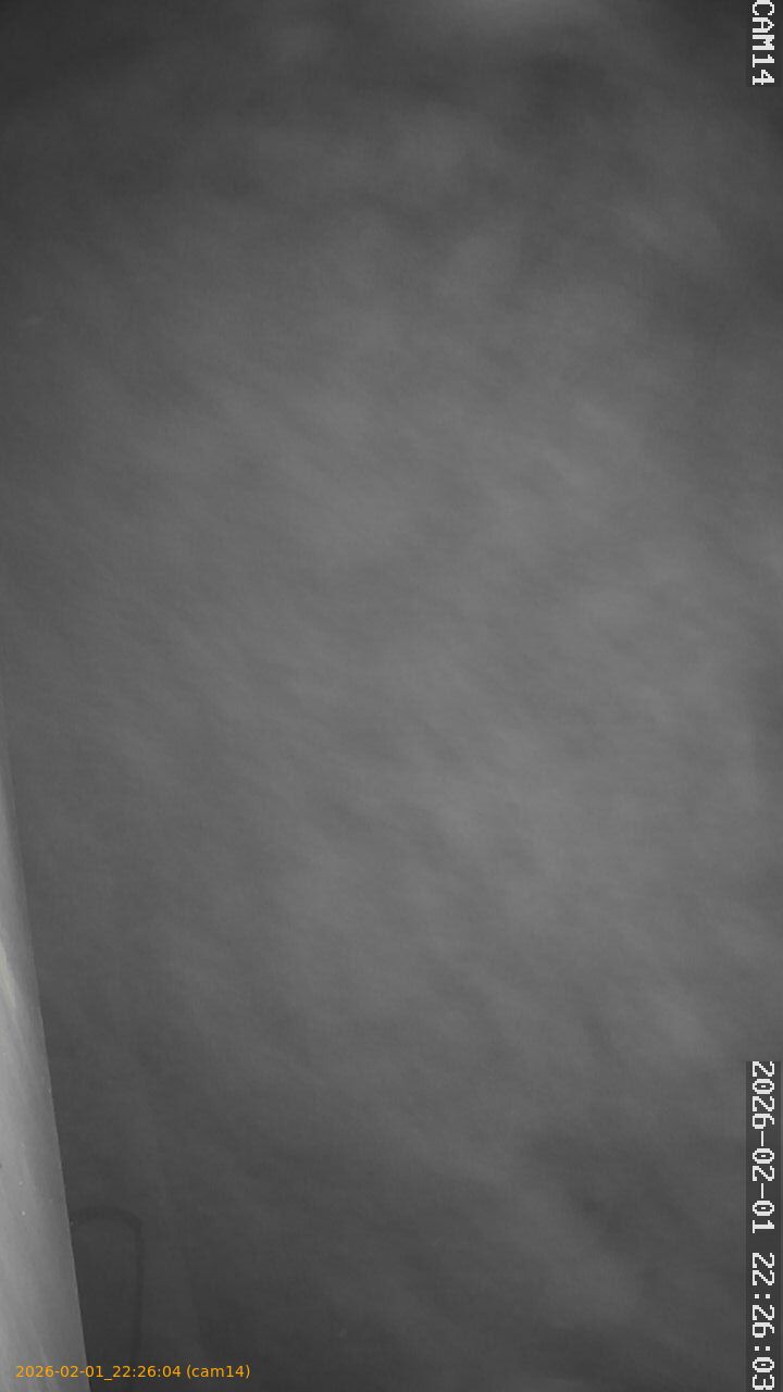 thumbnail_20260201222604