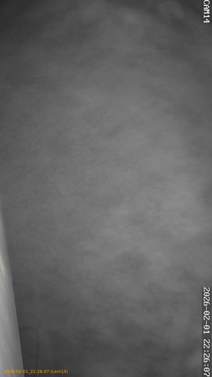 thumbnail_20260201222607