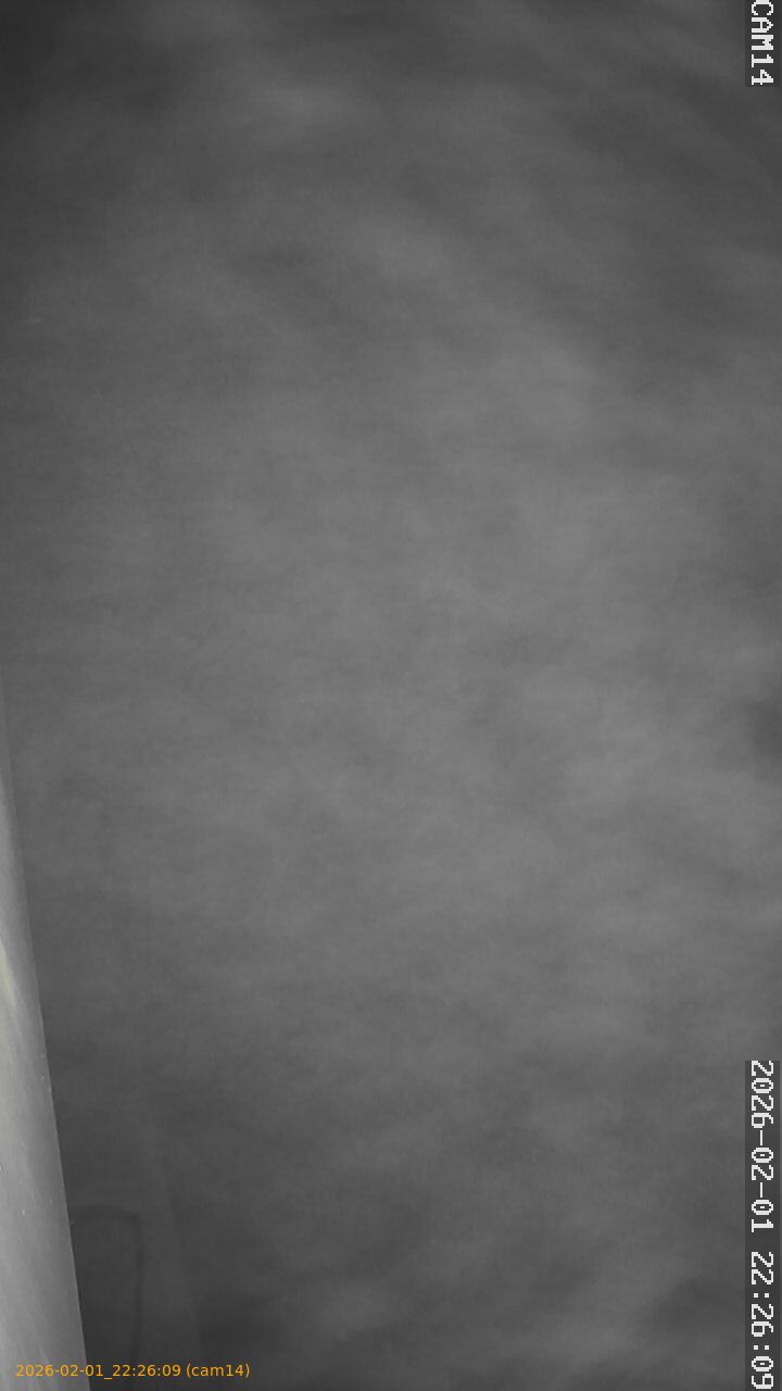 thumbnail_20260201222609