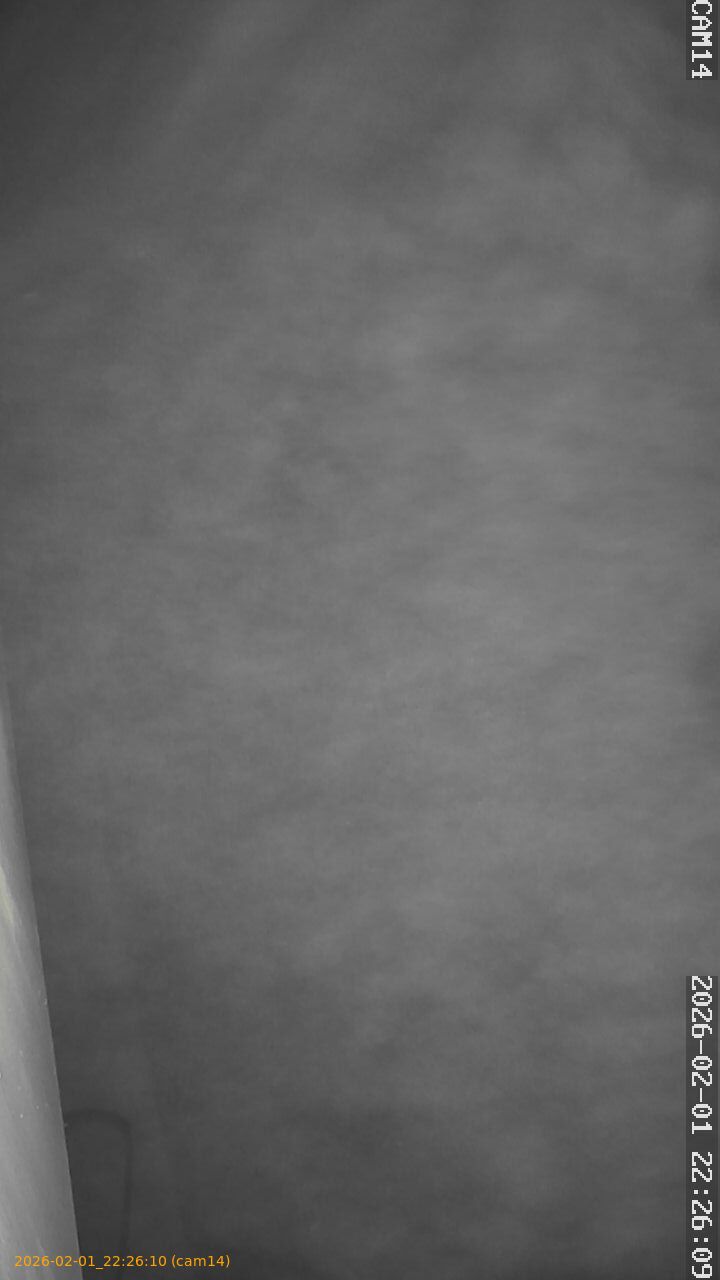 thumbnail_20260201222610