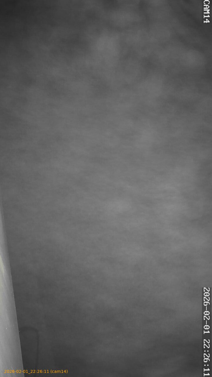 thumbnail_20260201222611