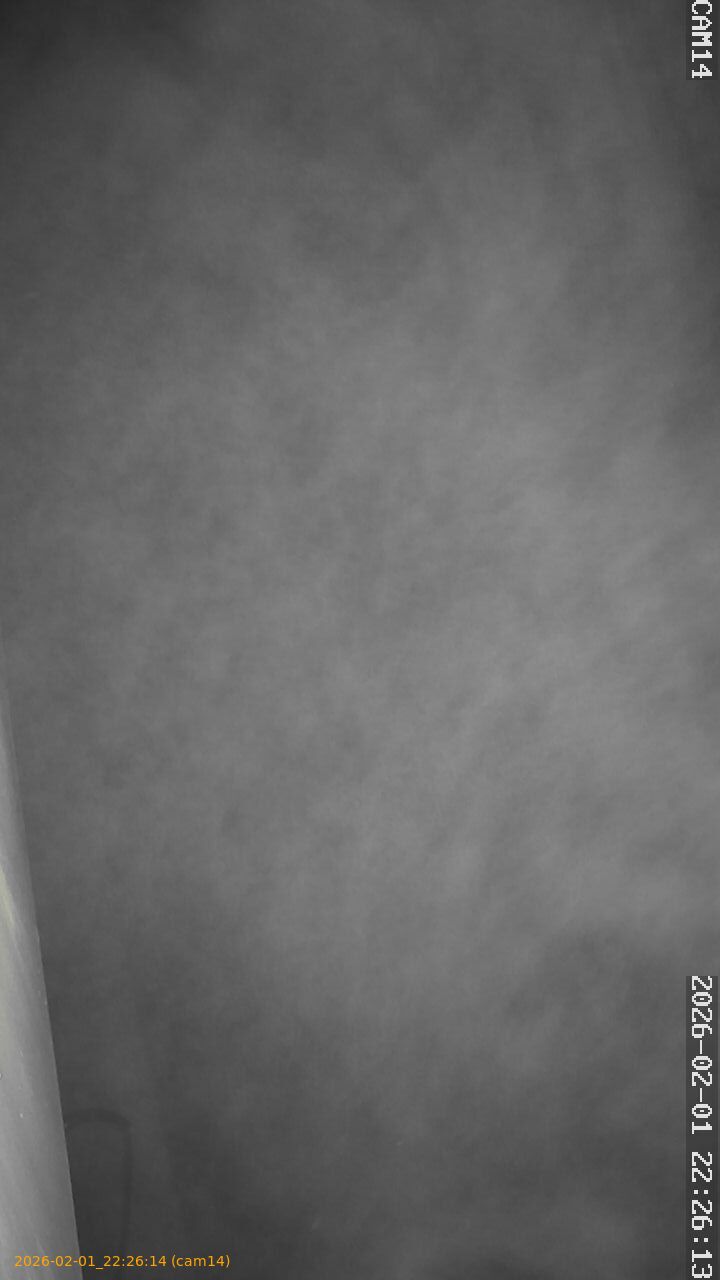 thumbnail_20260201222614