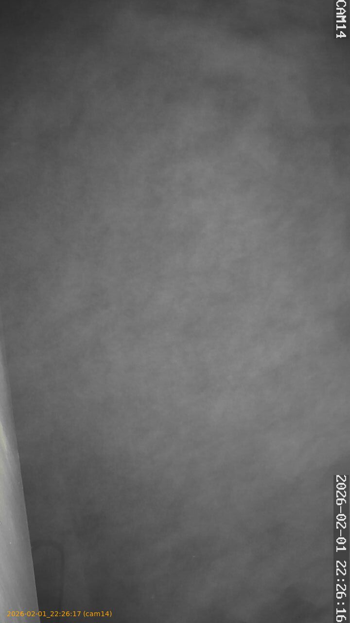 thumbnail_20260201222617