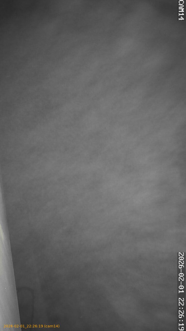 thumbnail_20260201222619