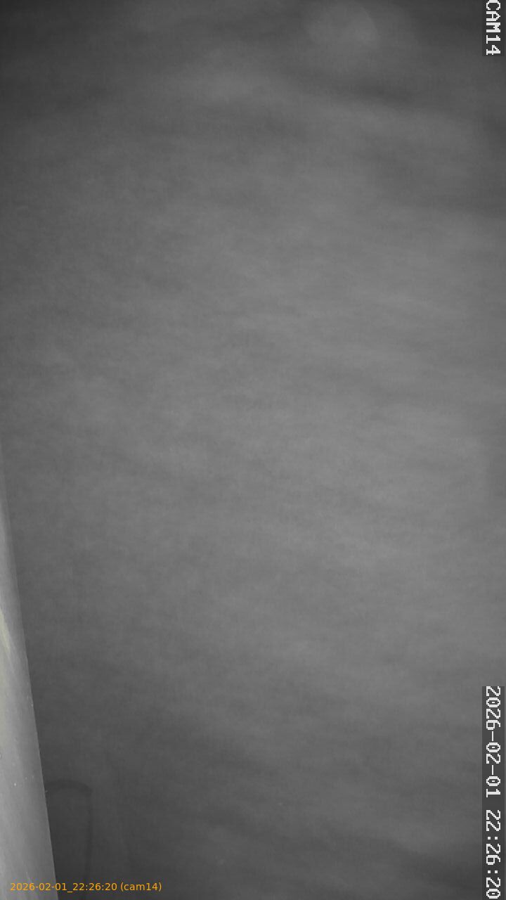 thumbnail_20260201222620