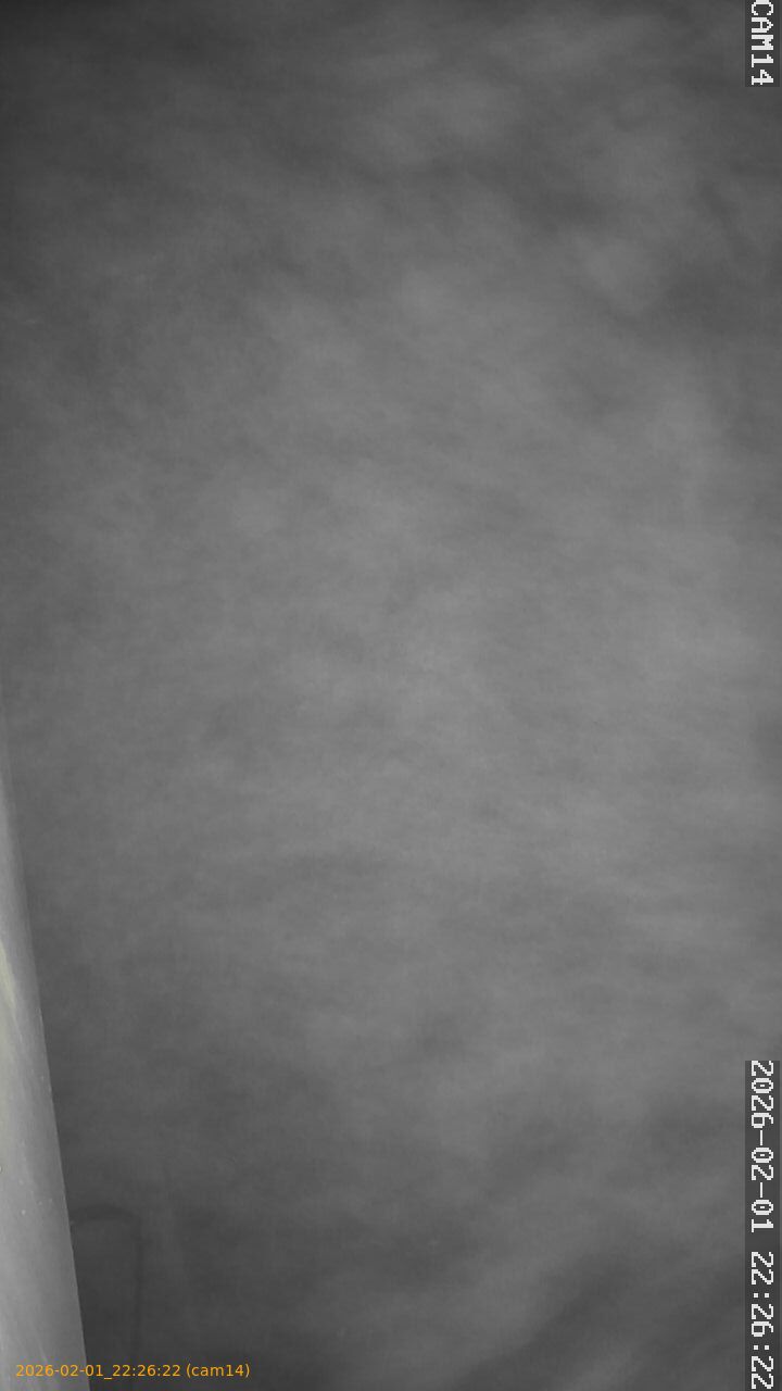 thumbnail_20260201222622