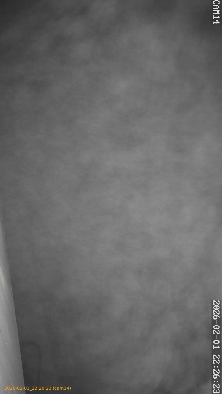 thumbnail_20260201222623