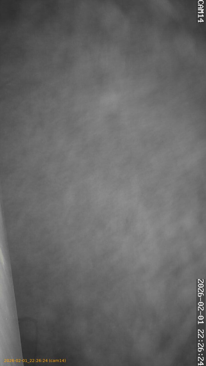 thumbnail_20260201222624