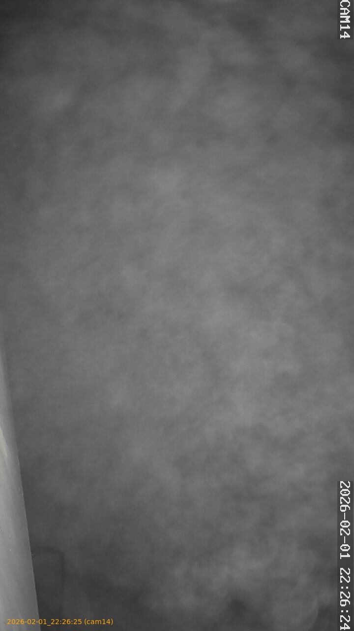 thumbnail_20260201222625