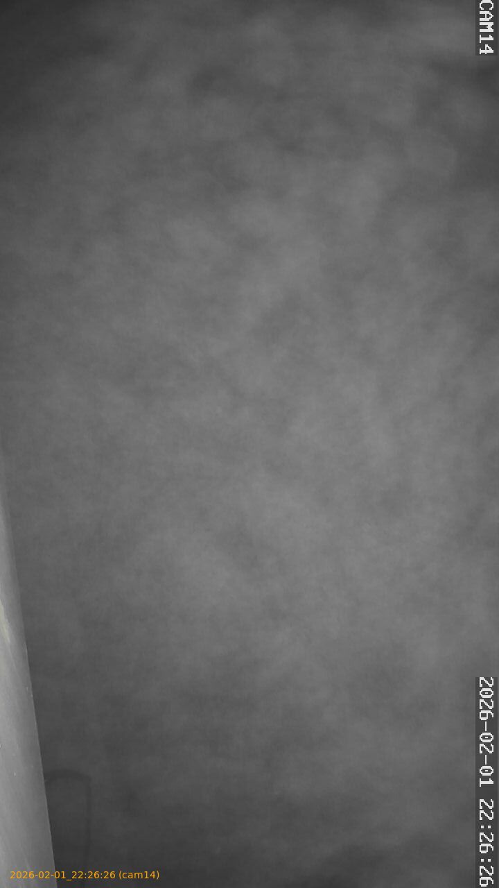 thumbnail_20260201222626