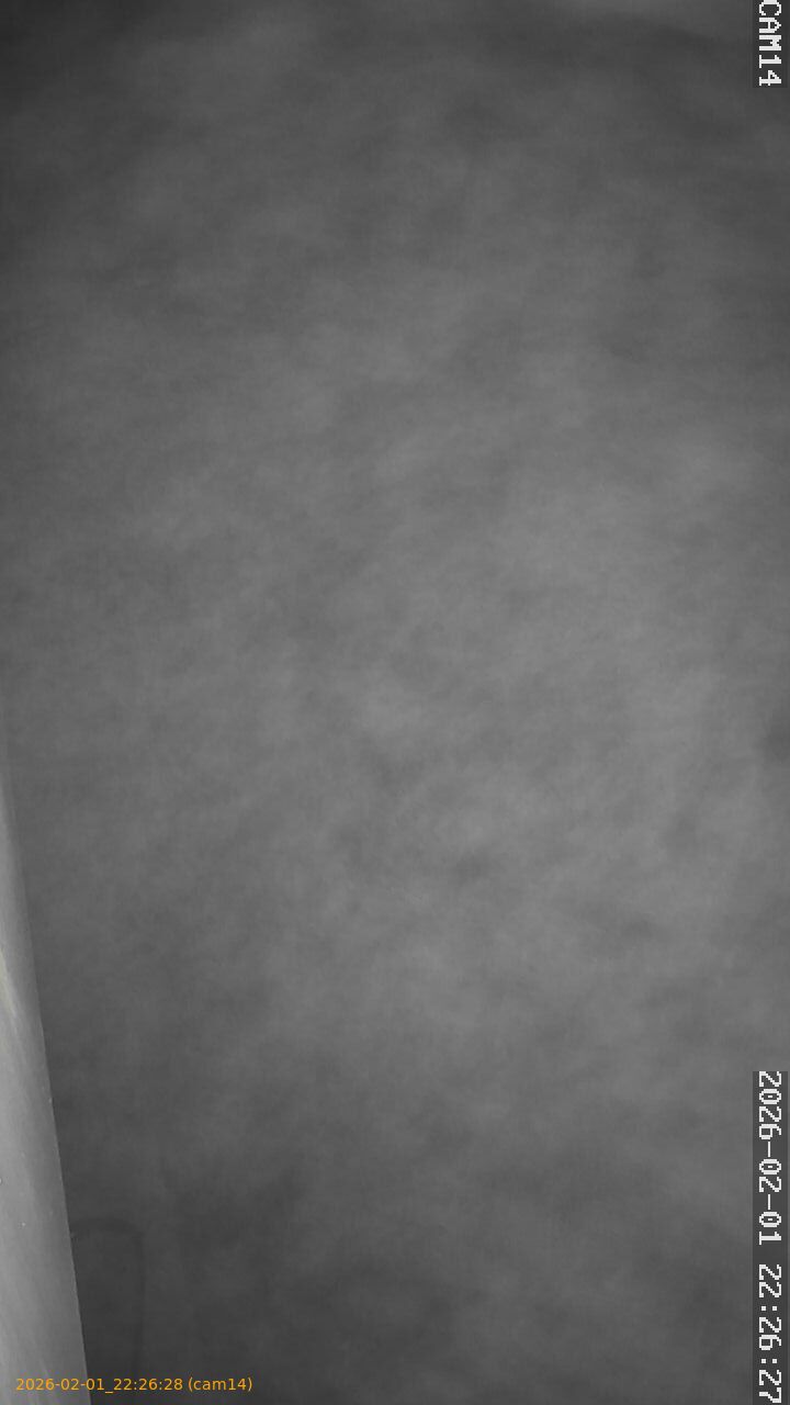 thumbnail_20260201222628