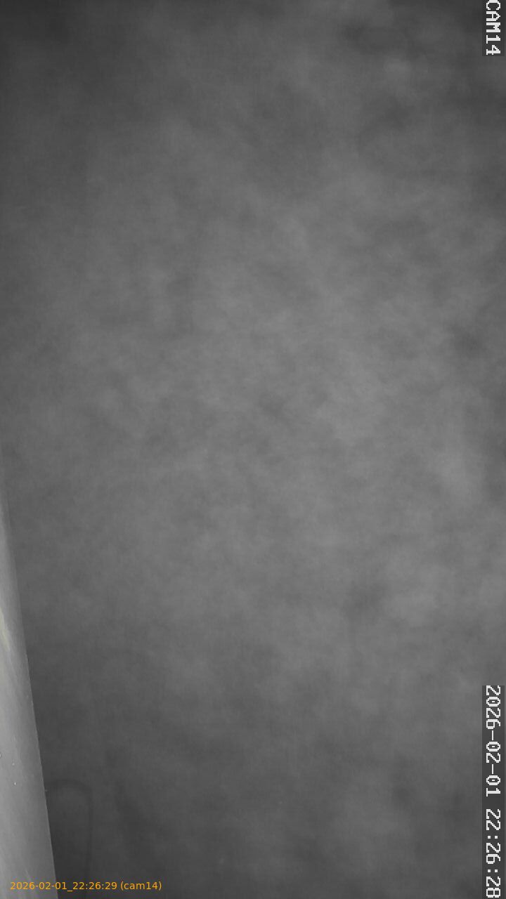 thumbnail_20260201222629