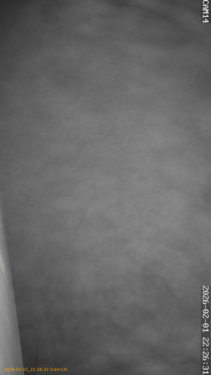 thumbnail_20260201222631