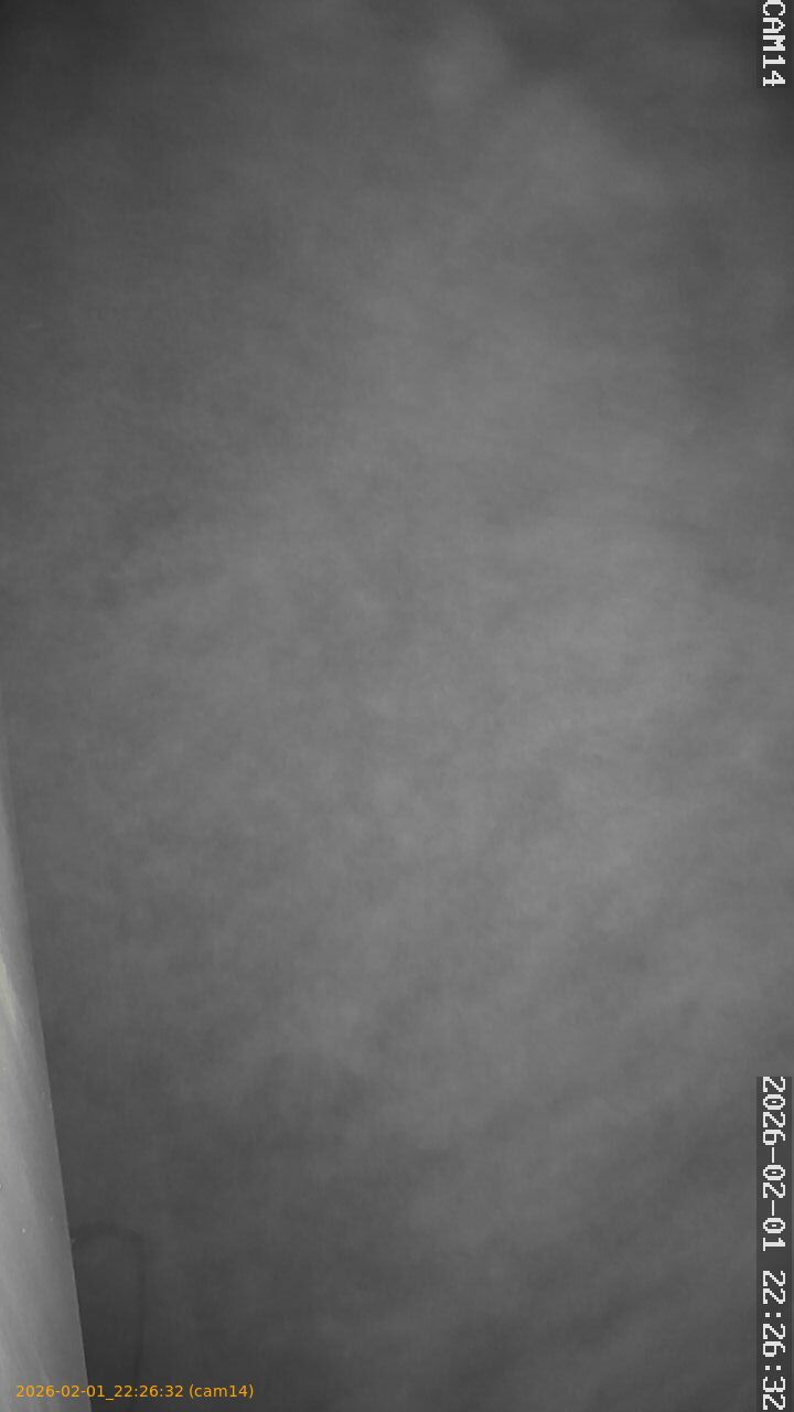 thumbnail_20260201222632