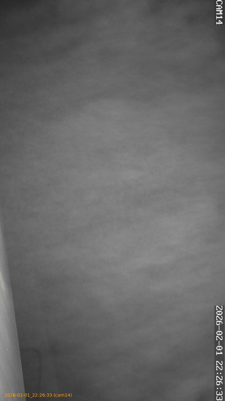 thumbnail_20260201222633