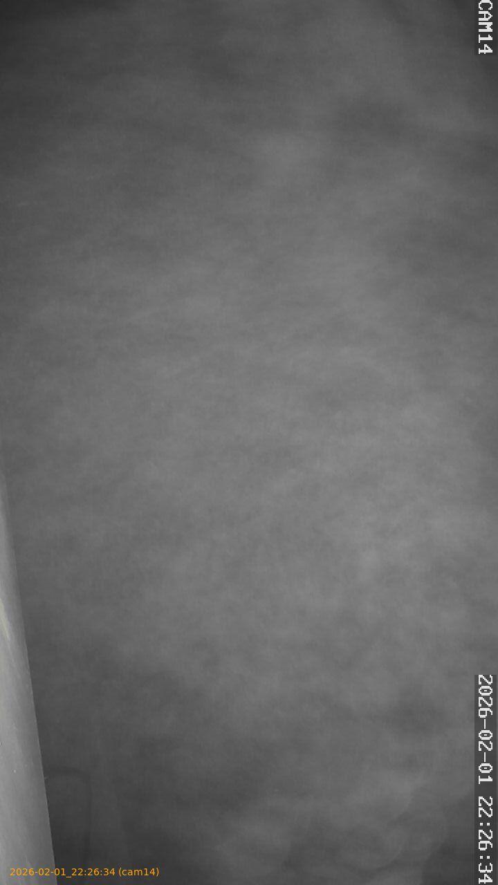 thumbnail_20260201222634