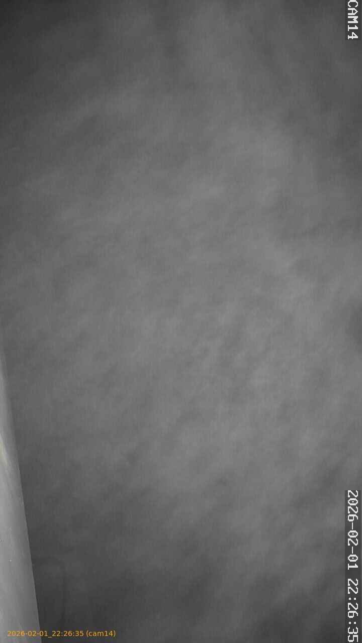 thumbnail_20260201222635