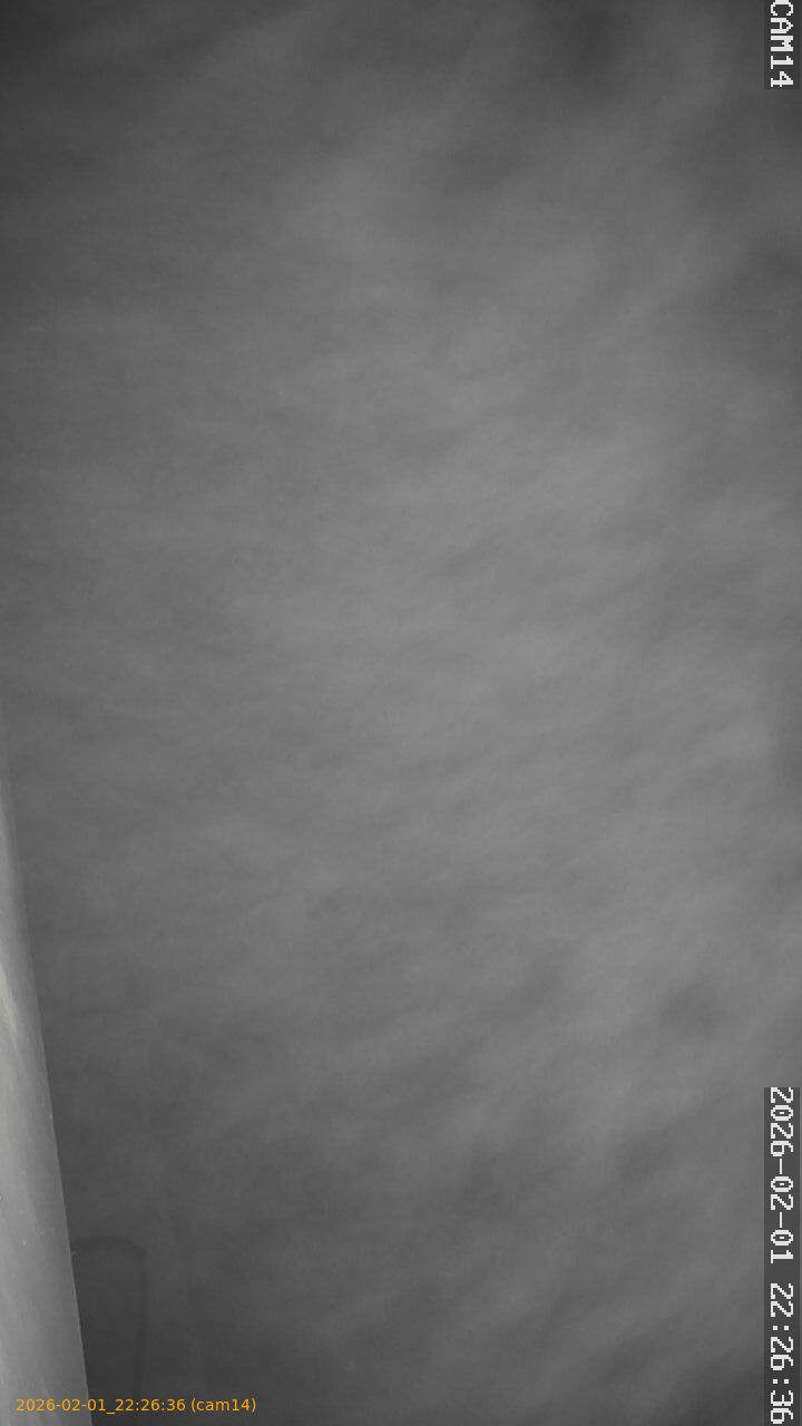 thumbnail_20260201222636