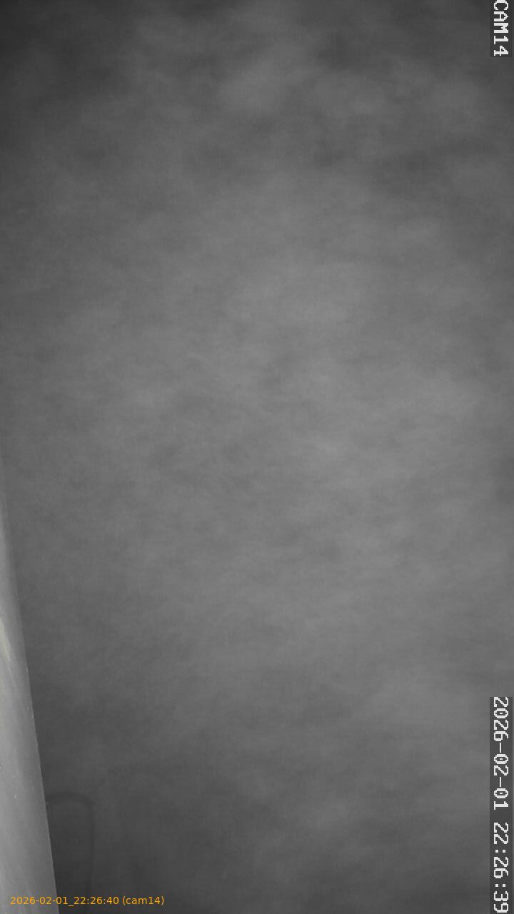 thumbnail_20260201222640