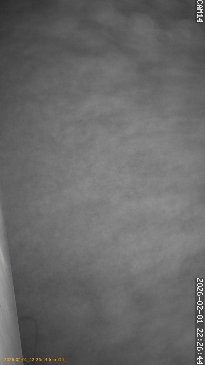 thumbnail_20260201222644