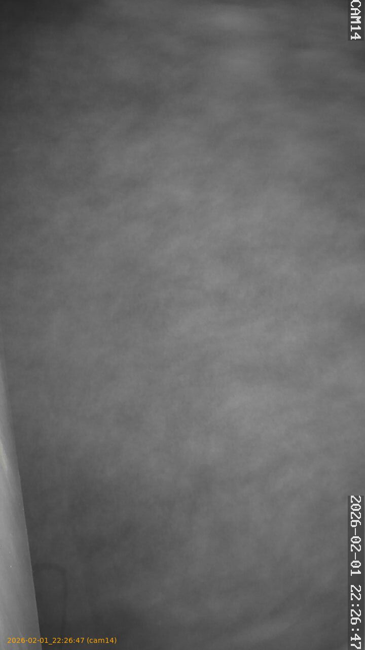 thumbnail_20260201222647