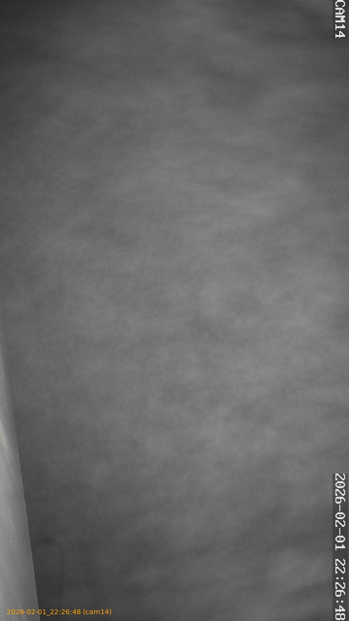 thumbnail_20260201222648