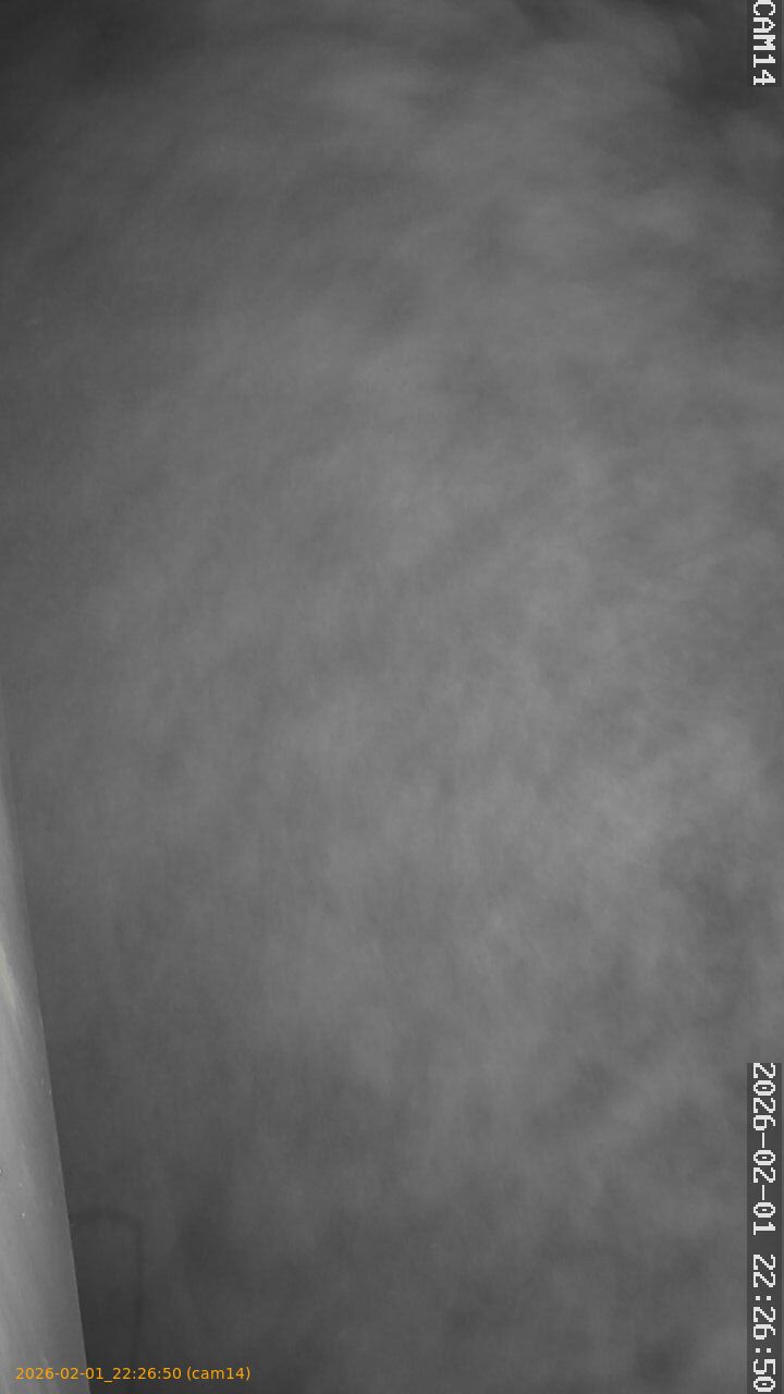 thumbnail_20260201222650