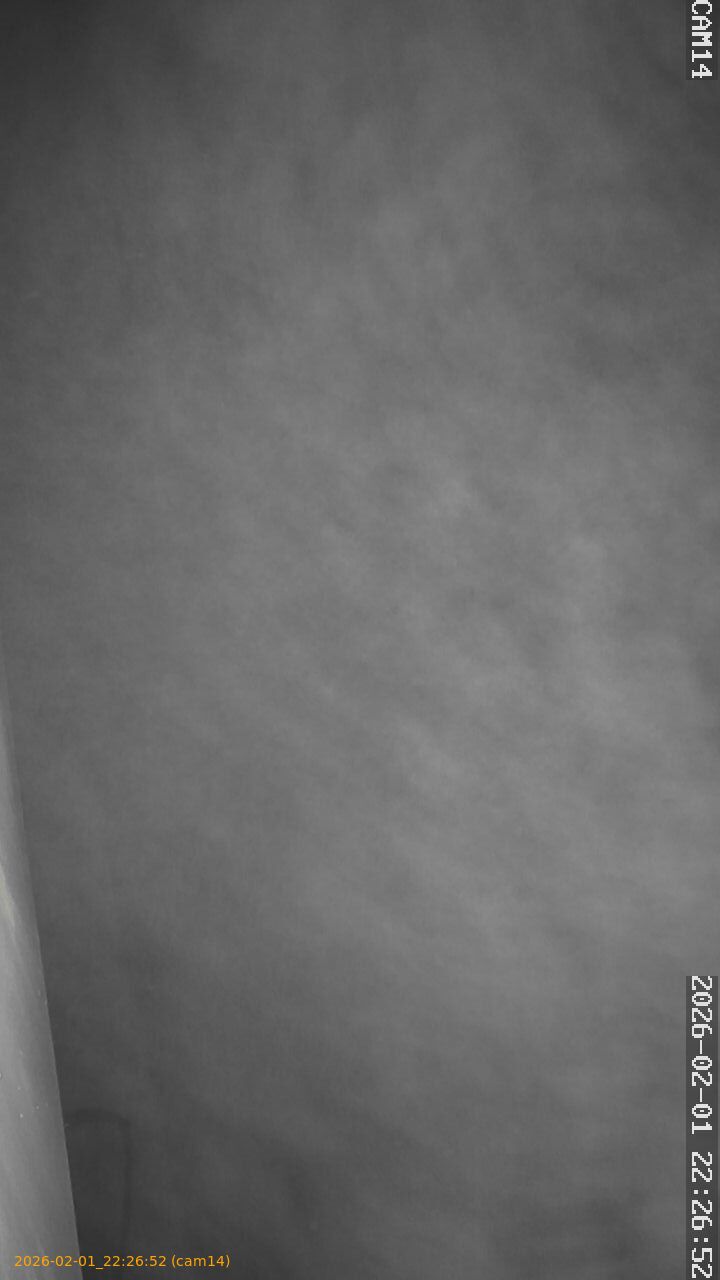 thumbnail_20260201222652