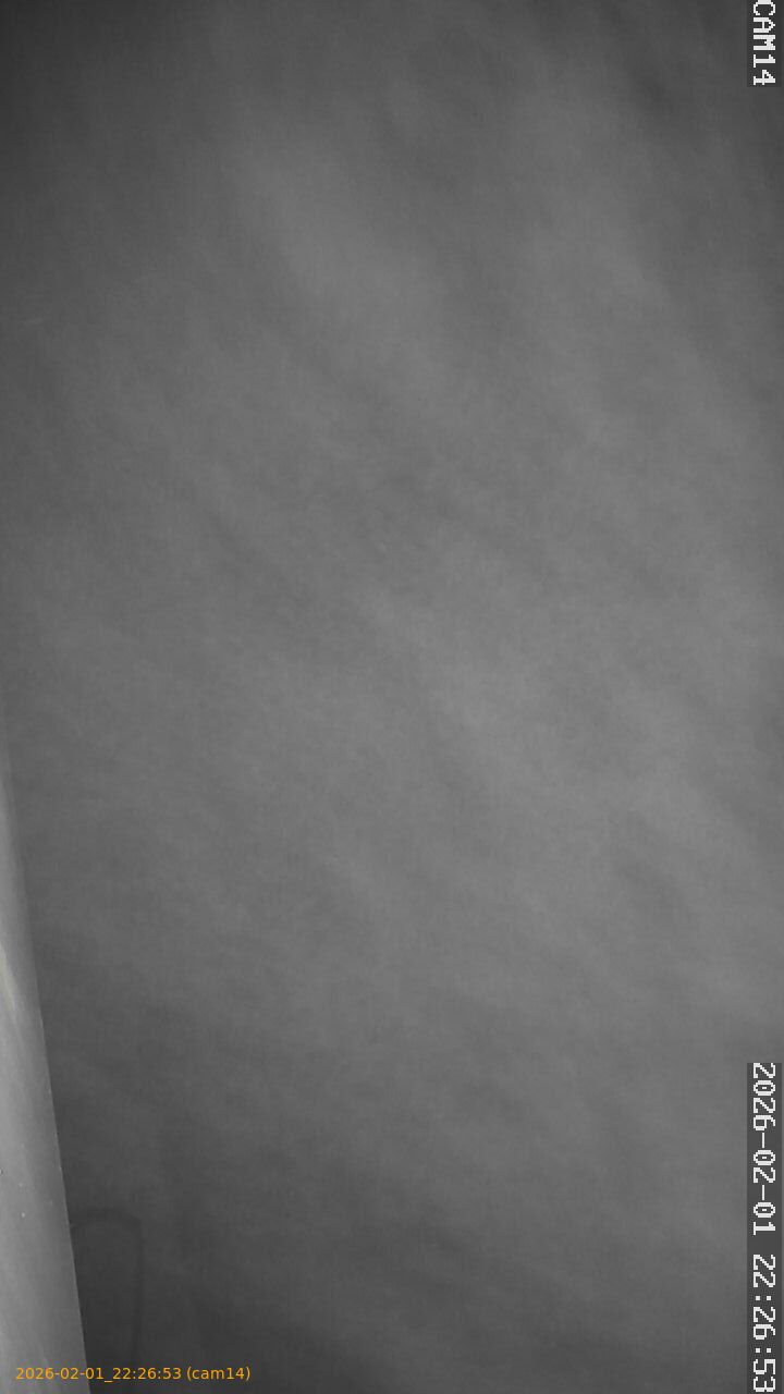 thumbnail_20260201222653