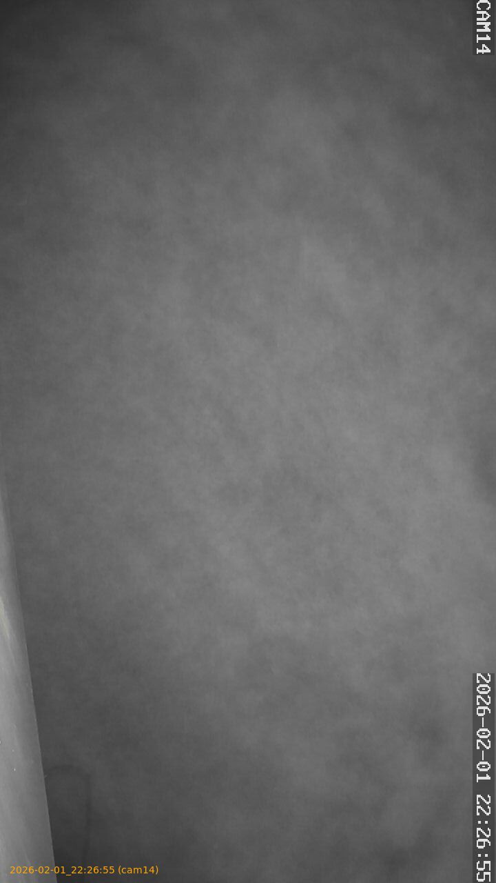 thumbnail_20260201222655