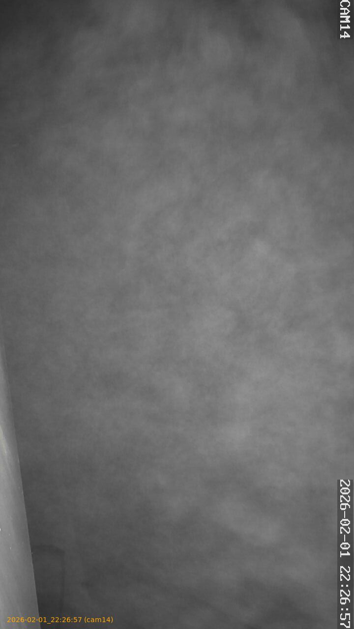 thumbnail_20260201222657