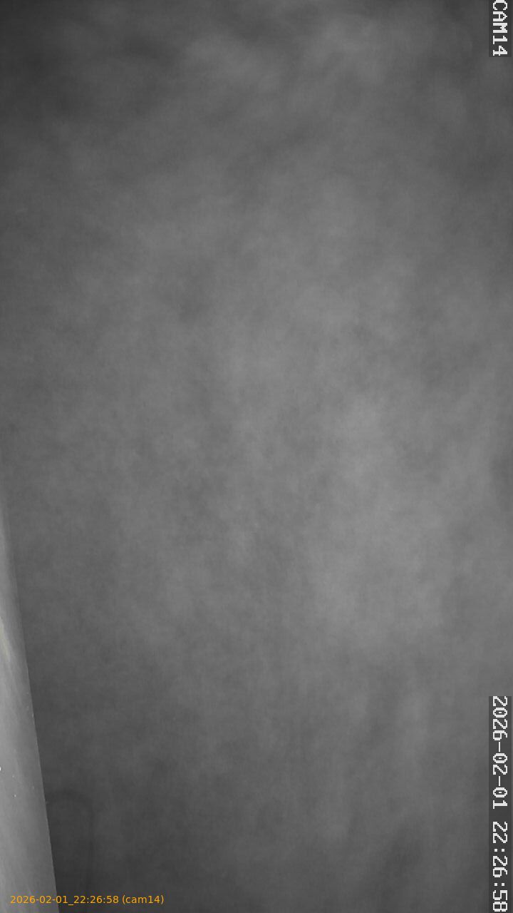 thumbnail_20260201222658