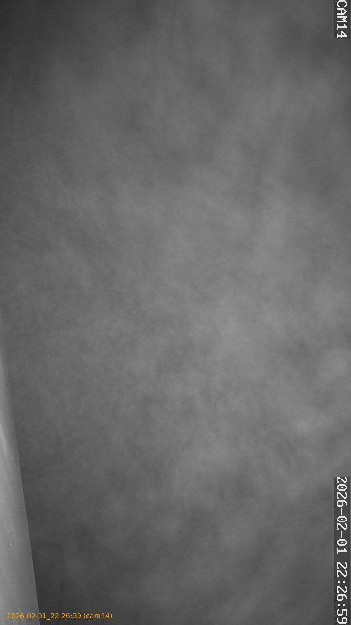 thumbnail_20260201222659