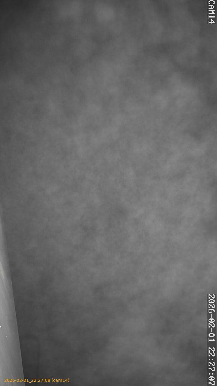 thumbnail_20260201222708