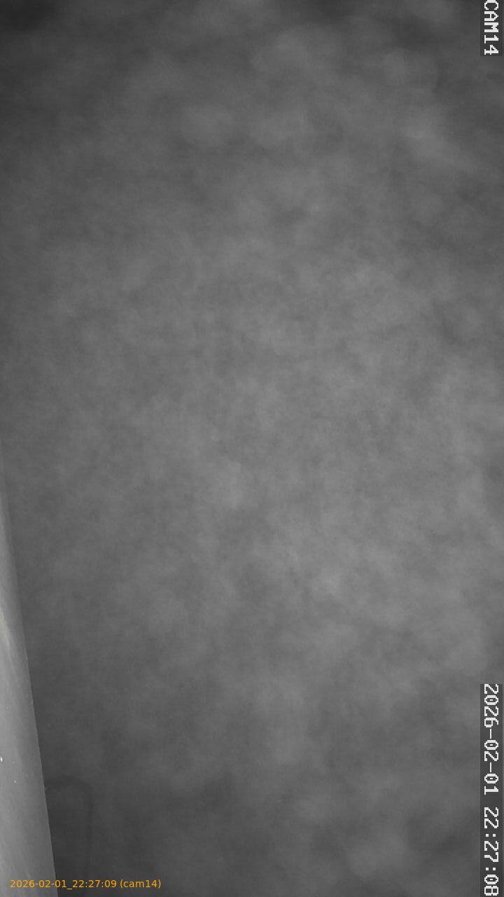 thumbnail_20260201222709