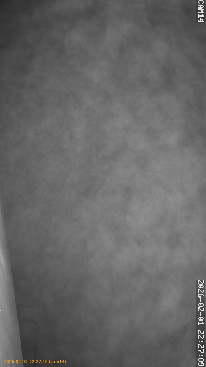 thumbnail_20260201222710