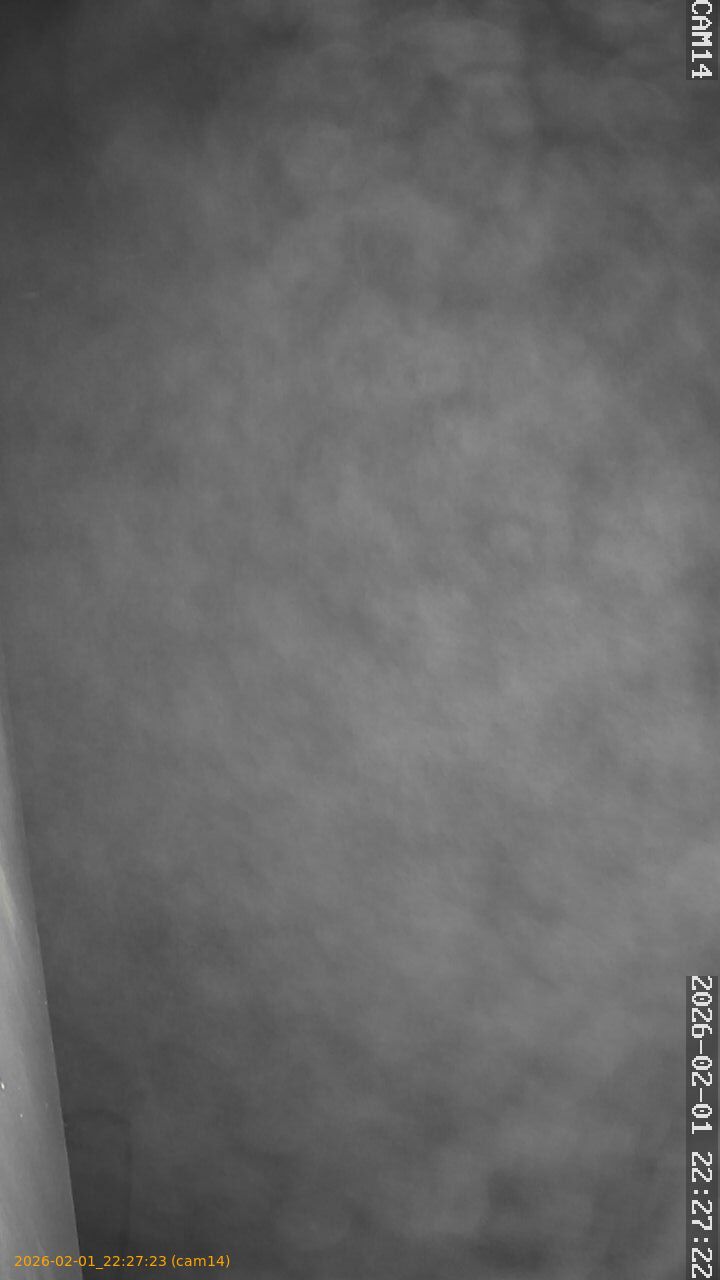 thumbnail_20260201222723