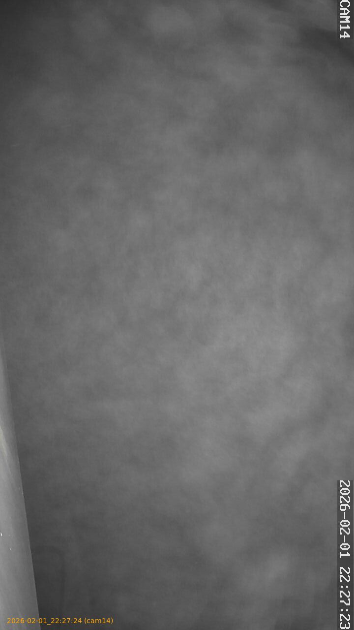 thumbnail_20260201222724