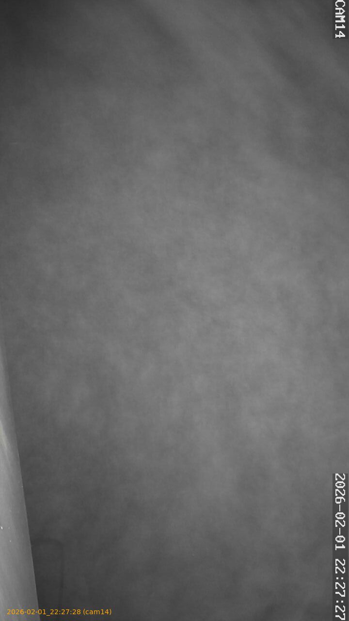 thumbnail_20260201222728