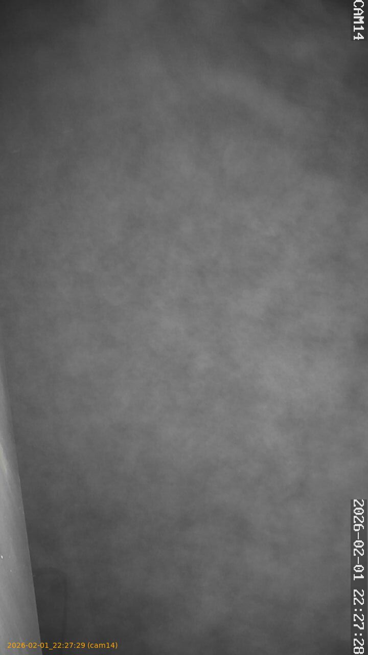 thumbnail_20260201222729