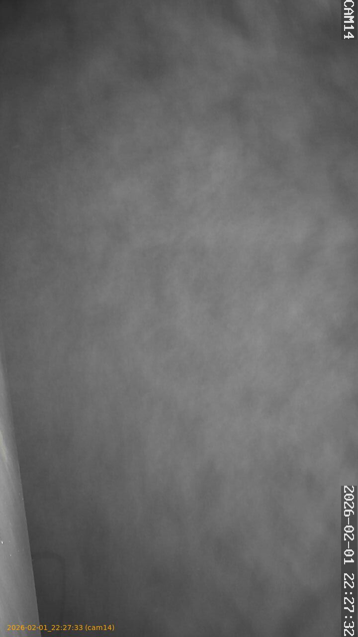 thumbnail_20260201222733