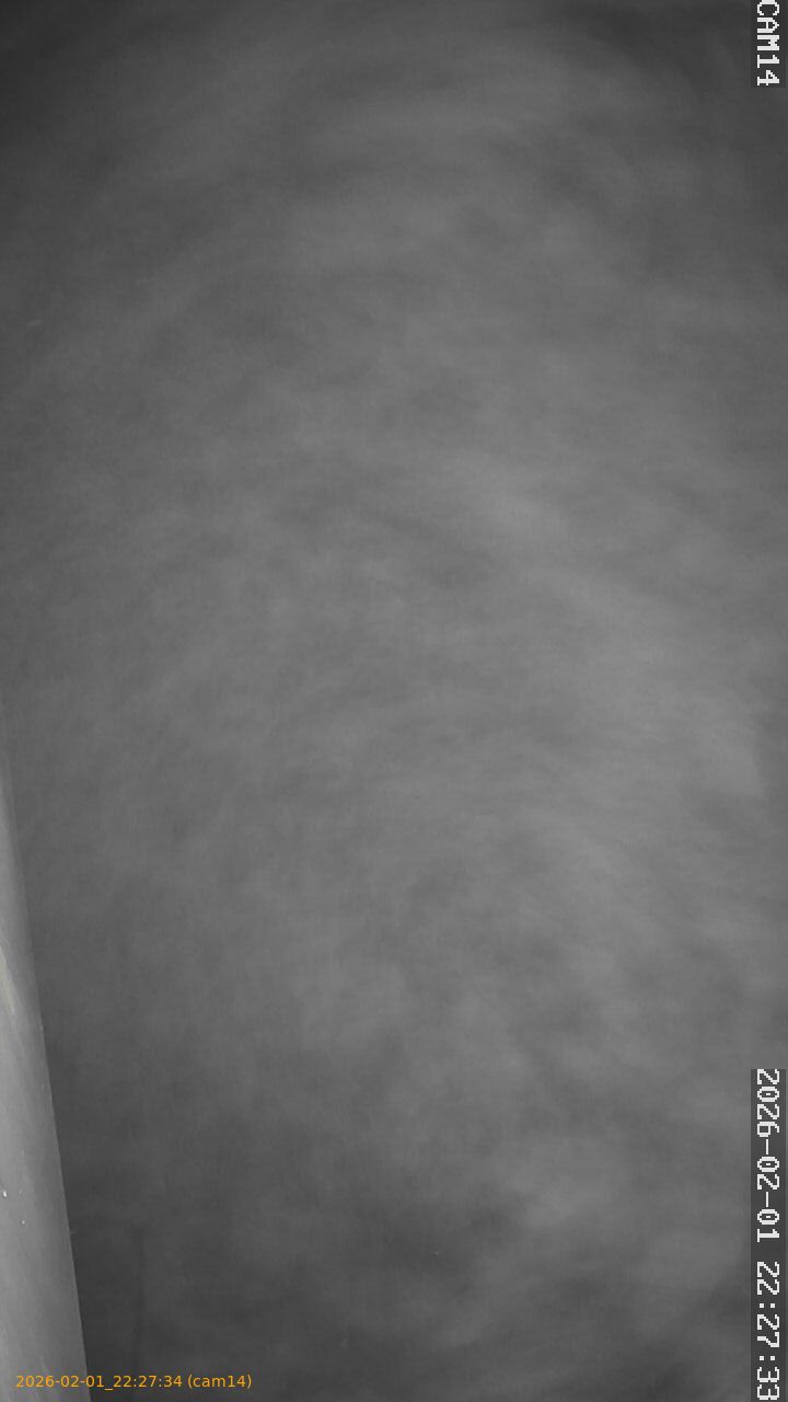 thumbnail_20260201222734