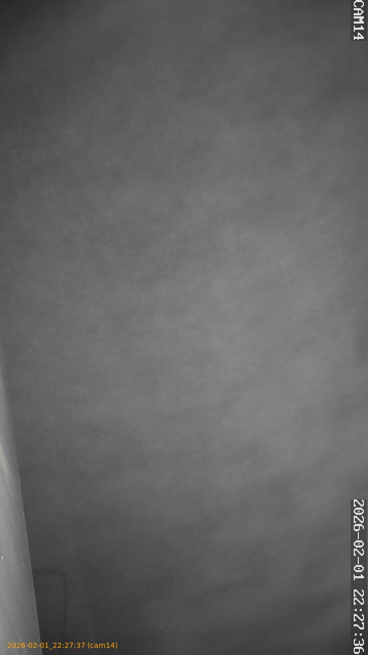 thumbnail_20260201222737