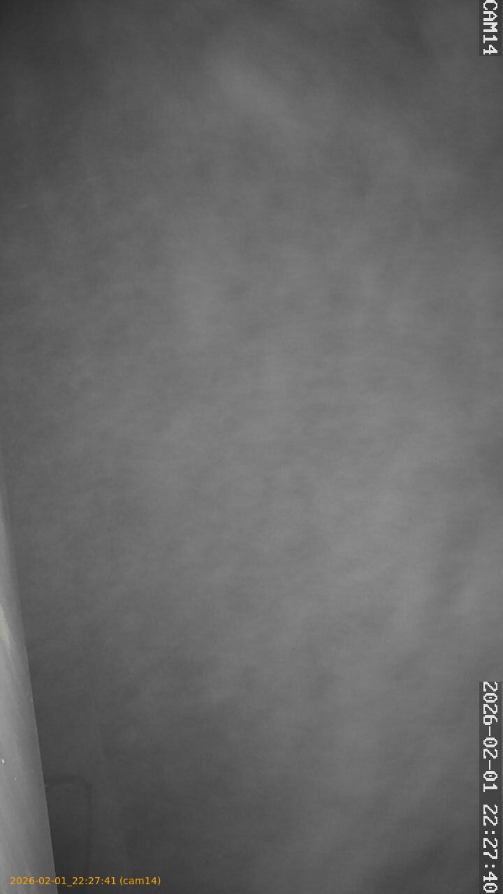 thumbnail_20260201222741