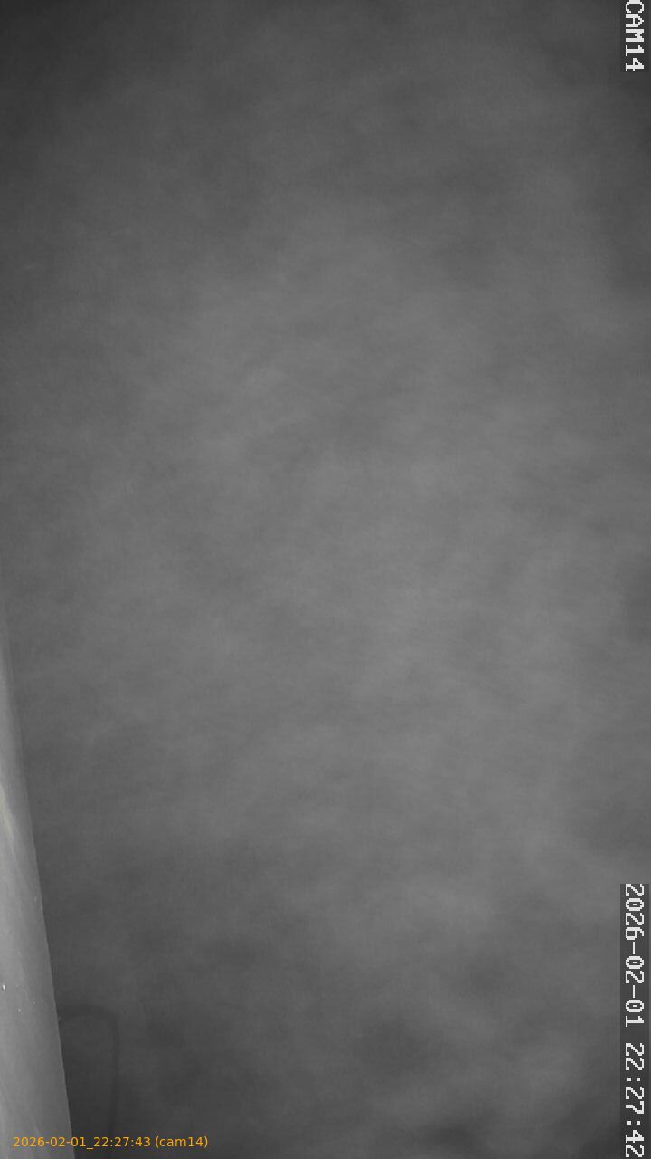 thumbnail_20260201222743