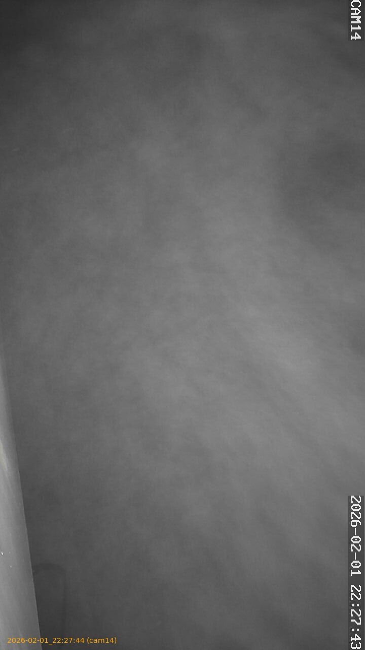 thumbnail_20260201222744