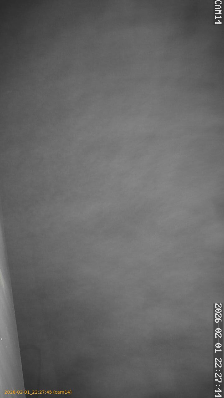 thumbnail_20260201222745