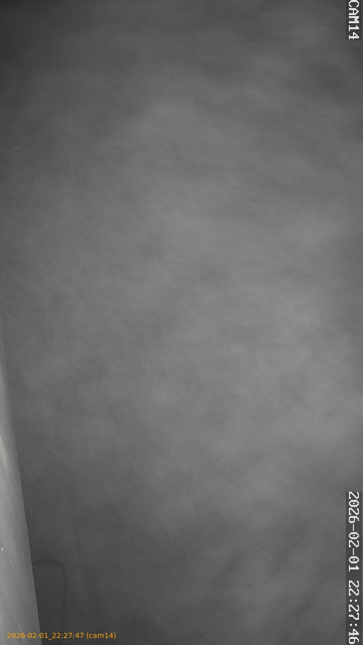 thumbnail_20260201222747